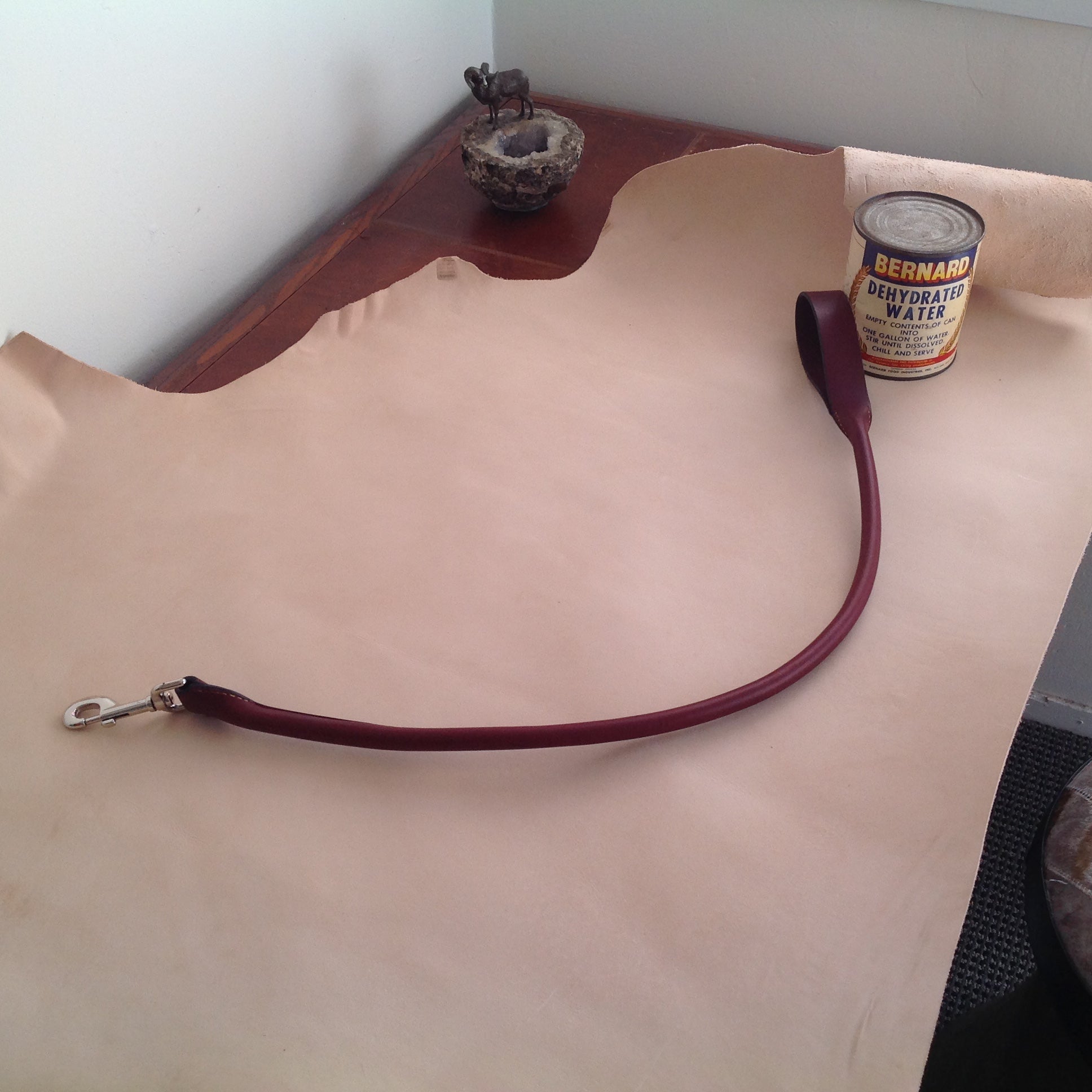 38" Pet Leash